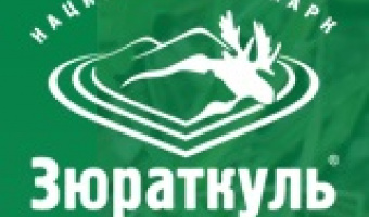 برگزاری مدرسه تابستانی دانشگاه چلیابینسک روسیه
