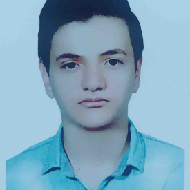 امیررضا ونائی