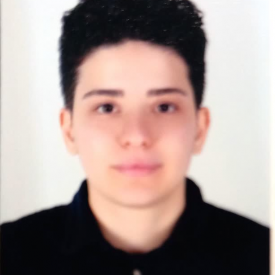 سیدحامی حمزوی تبریزی
