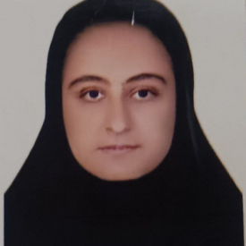 پریسا باقرزاده