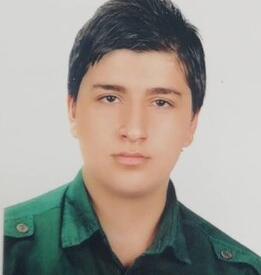 علی رضوی