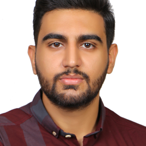 محمدحسین گل زردی